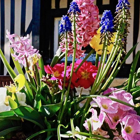 La Longere Deauville Bonneville-sur-Touques Екстер'єр фото